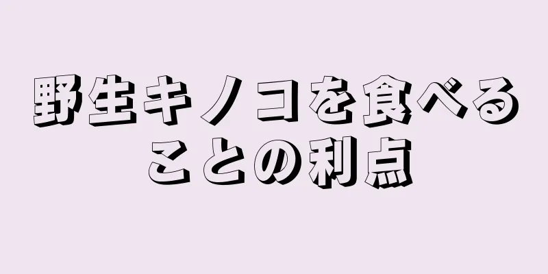 野生キノコを食べることの利点