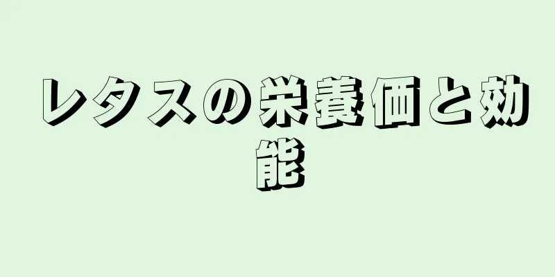 レタスの栄養価と効能