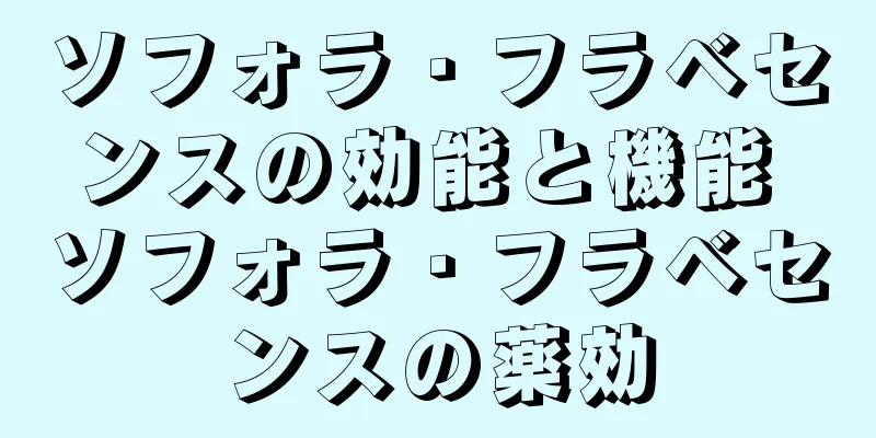 ソフォラ・フラベセンスの効能と機能 ソフォラ・フラベセンスの薬効