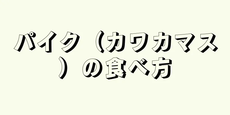 パイク（カワカマス）の食べ方