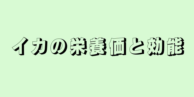 イカの栄養価と効能