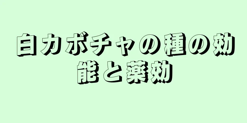 白カボチャの種の効能と薬効