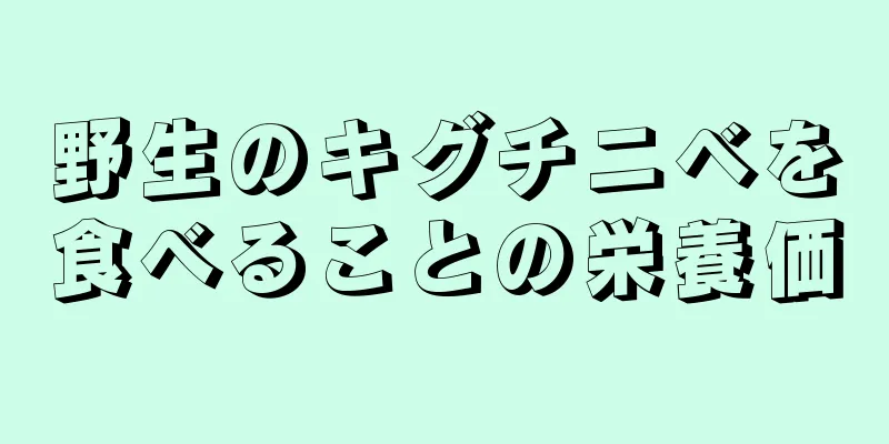 野生のキグチニベを食べることの栄養価
