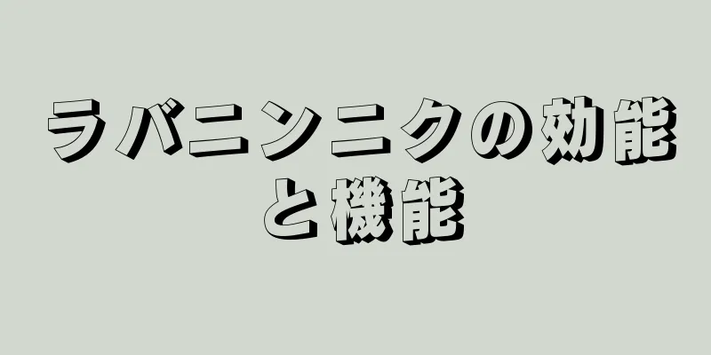 ラバニンニクの効能と機能