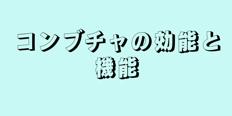 コンブチャの効能と機能