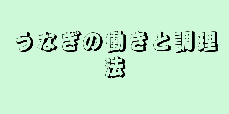 うなぎの働きと調理法