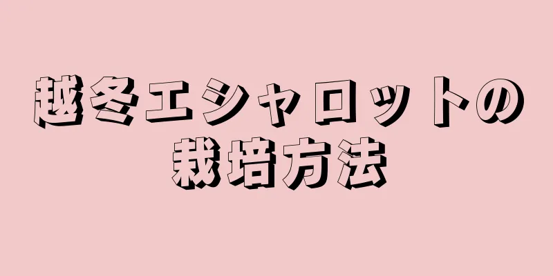 越冬エシャロットの栽培方法