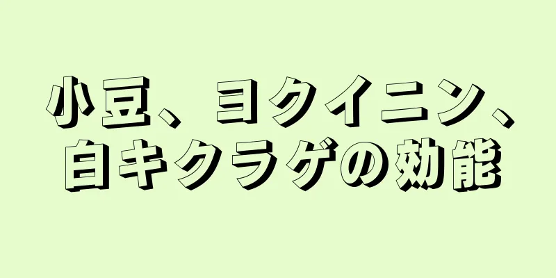 小豆、ヨクイニン、白キクラゲの効能