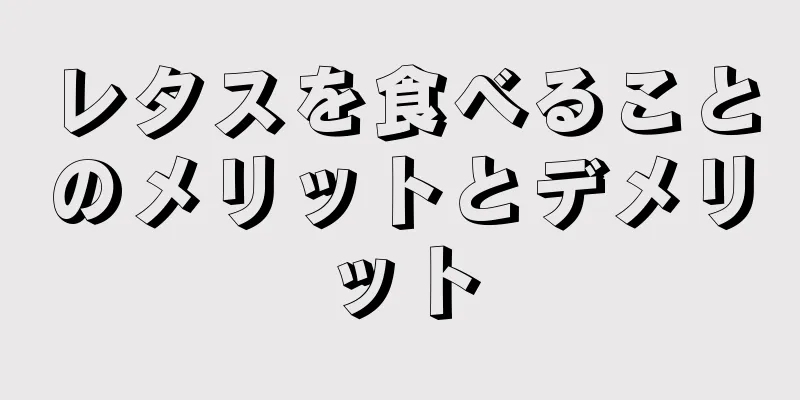 レタスを食べることのメリットとデメリット
