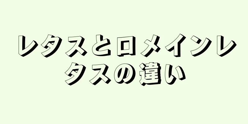 レタスとロメインレタスの違い