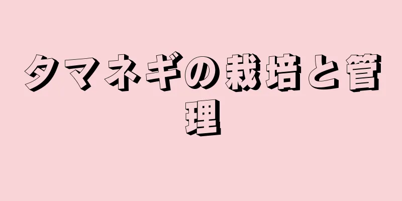 タマネギの栽培と管理