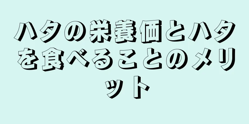 ハタの栄養価とハタを食べることのメリット