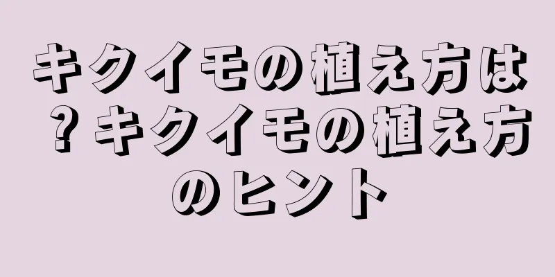 キクイモの植え方は？キクイモの植え方のヒント