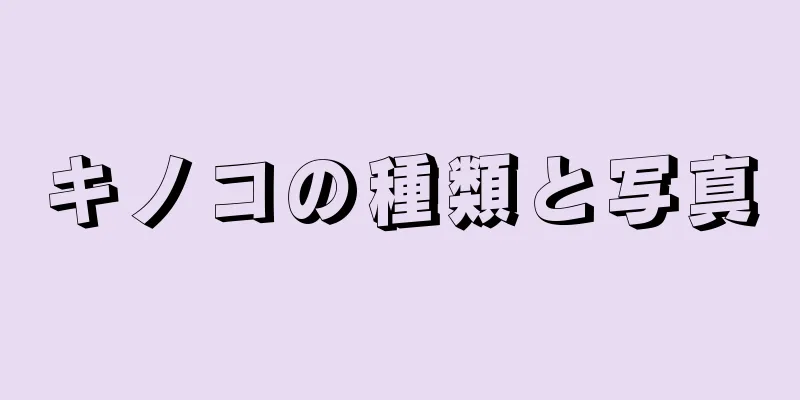 キノコの種類と写真