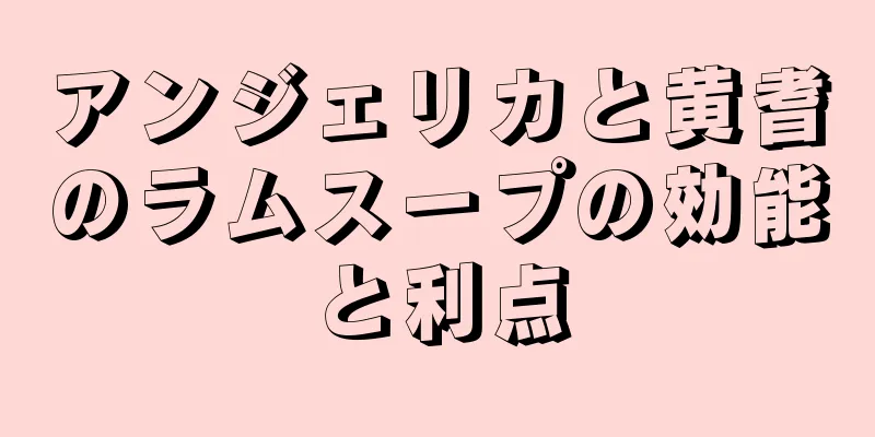 アンジェリカと黄耆のラムスープの効能と利点