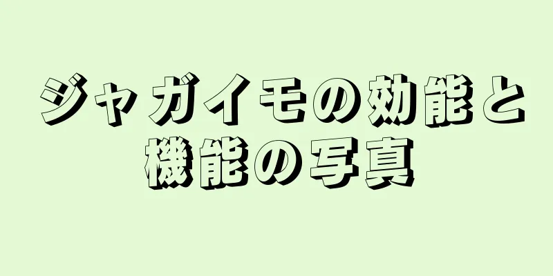 ジャガイモの効能と機能の写真