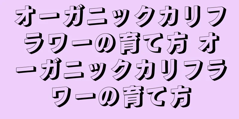 オーガニックカリフラワーの育て方 オーガニックカリフラワーの育て方