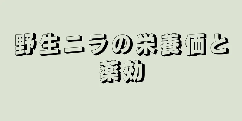 野生ニラの栄養価と薬効