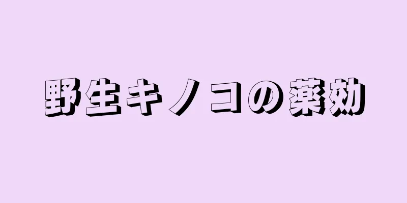 野生キノコの薬効