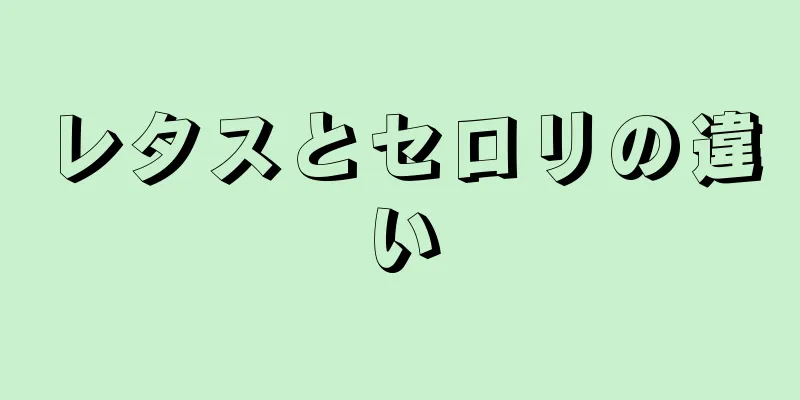 レタスとセロリの違い