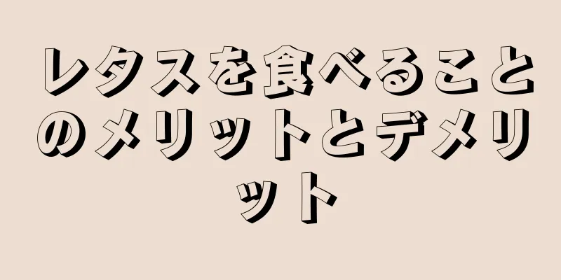 レタスを食べることのメリットとデメリット
