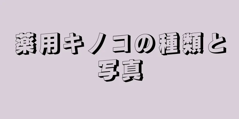 薬用キノコの種類と写真