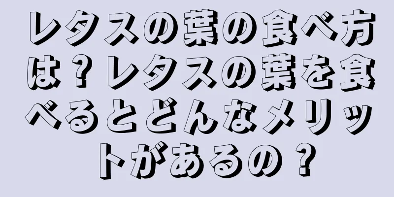 レタスの葉の食べ方は？レタスの葉を食べるとどんなメリットがあるの？