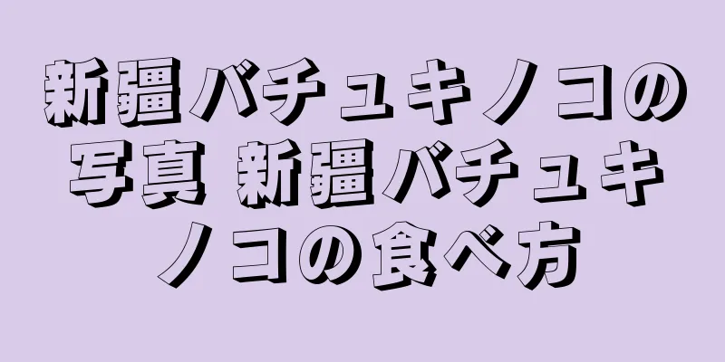 新疆バチュキノコの写真 新疆バチュキノコの食べ方