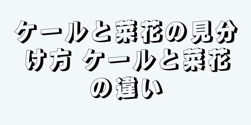 ケールと菜花の見分け方 ケールと菜花の違い