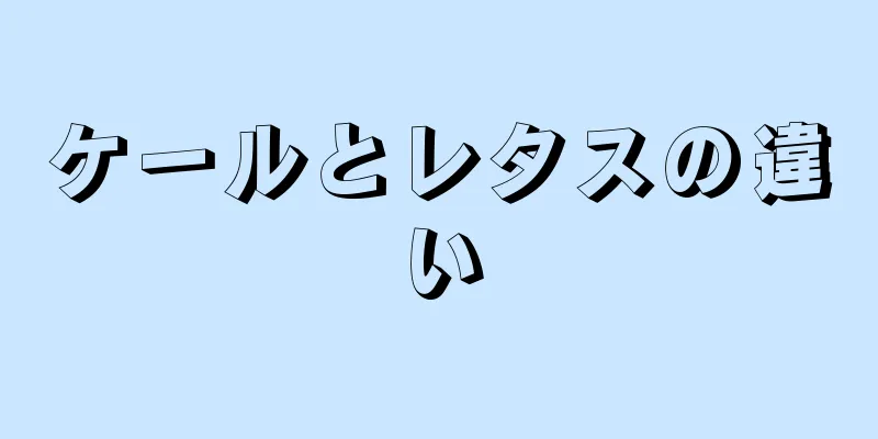 ケールとレタスの違い