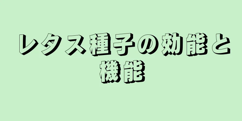 レタス種子の効能と機能