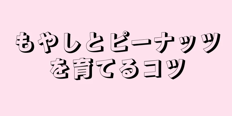 もやしとピーナッツを育てるコツ