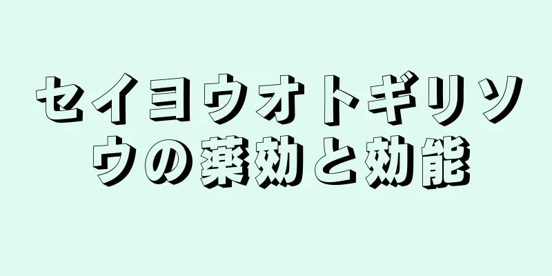 セイヨウオトギリソウの薬効と効能