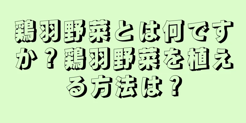 鶏羽野菜とは何ですか？鶏羽野菜を植える方法は？