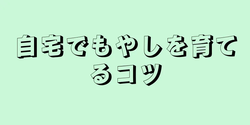 自宅でもやしを育てるコツ