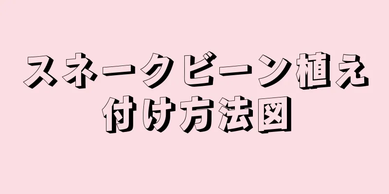 スネークビーン植え付け方法図