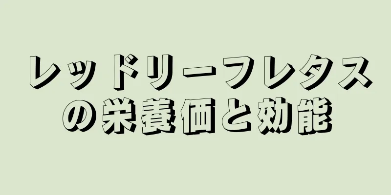 レッドリーフレタスの栄養価と効能