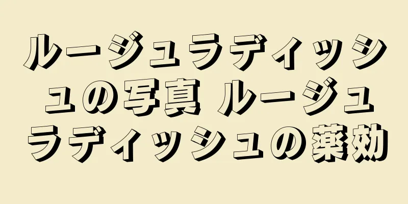 ルージュラディッシュの写真 ルージュラディッシュの薬効