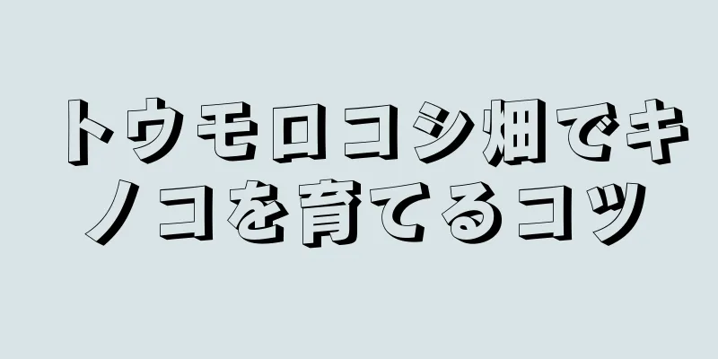 トウモロコシ畑でキノコを育てるコツ