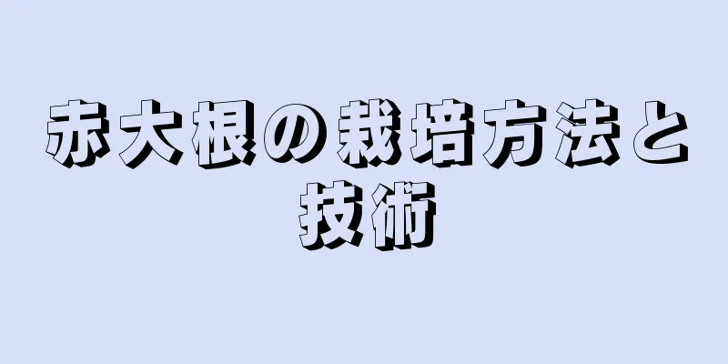 赤大根の栽培方法と技術