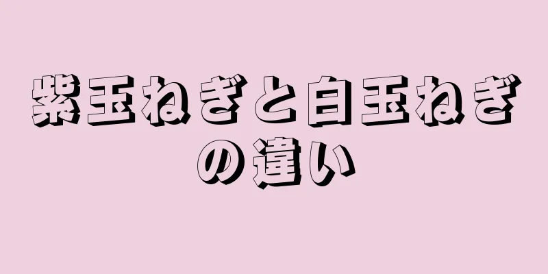 紫玉ねぎと白玉ねぎの違い