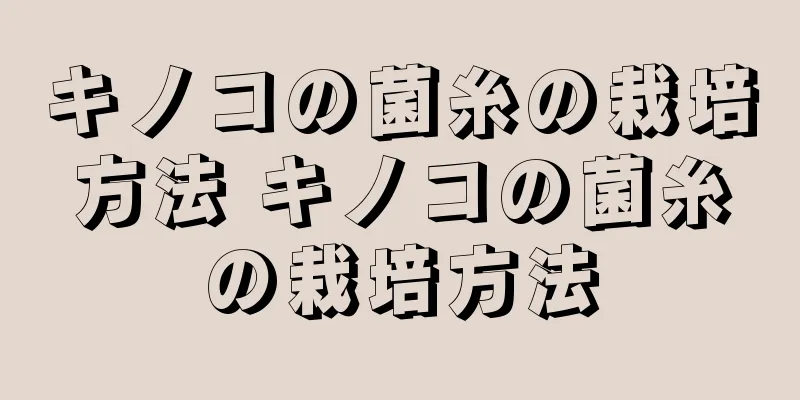 キノコの菌糸の栽培方法 キノコの菌糸の栽培方法