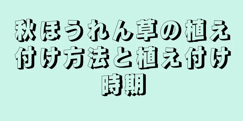 秋ほうれん草の植え付け方法と植え付け時期