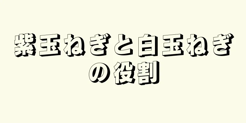紫玉ねぎと白玉ねぎの役割