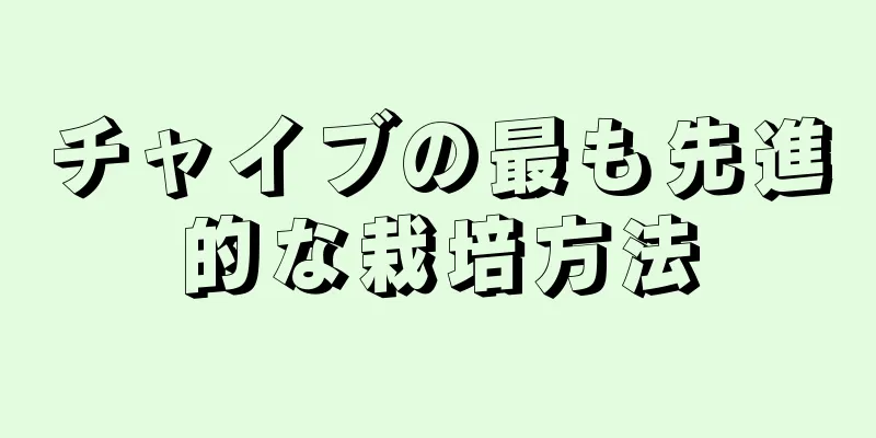 チャイブの最も先進的な栽培方法