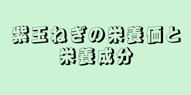 紫玉ねぎの栄養価と栄養成分