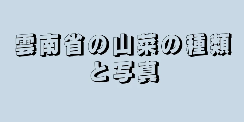 雲南省の山菜の種類と写真
