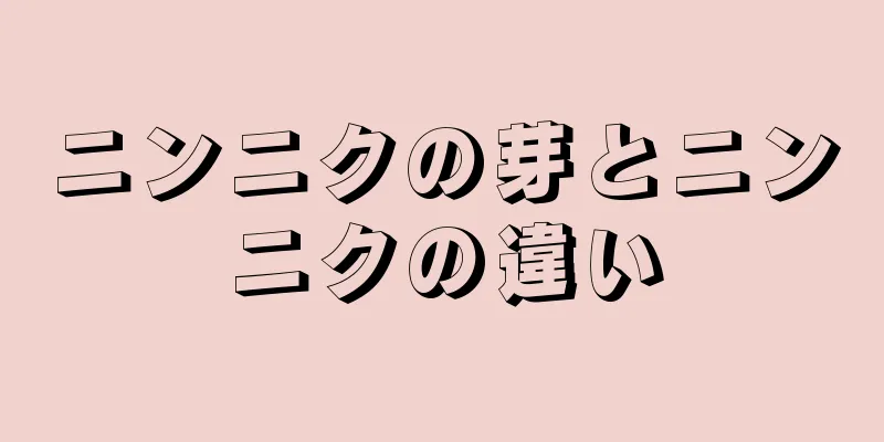 ニンニクの芽とニンニクの違い
