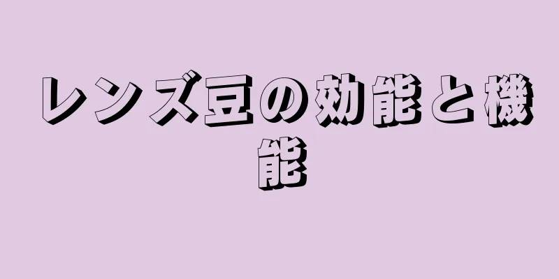 レンズ豆の効能と機能