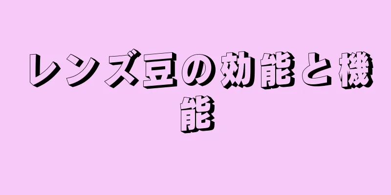 レンズ豆の効能と機能